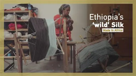  The Valiant Weaver: A Tale Woven Through Ethiopian History?